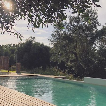 Agriturismo Casette Del Forno Montalto di Castro Exteriér fotografie