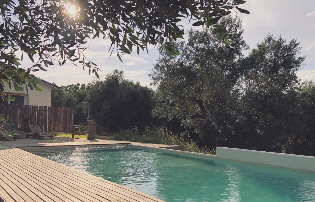 Agriturismo Casette Del Forno Montalto di Castro Exteriér fotografie